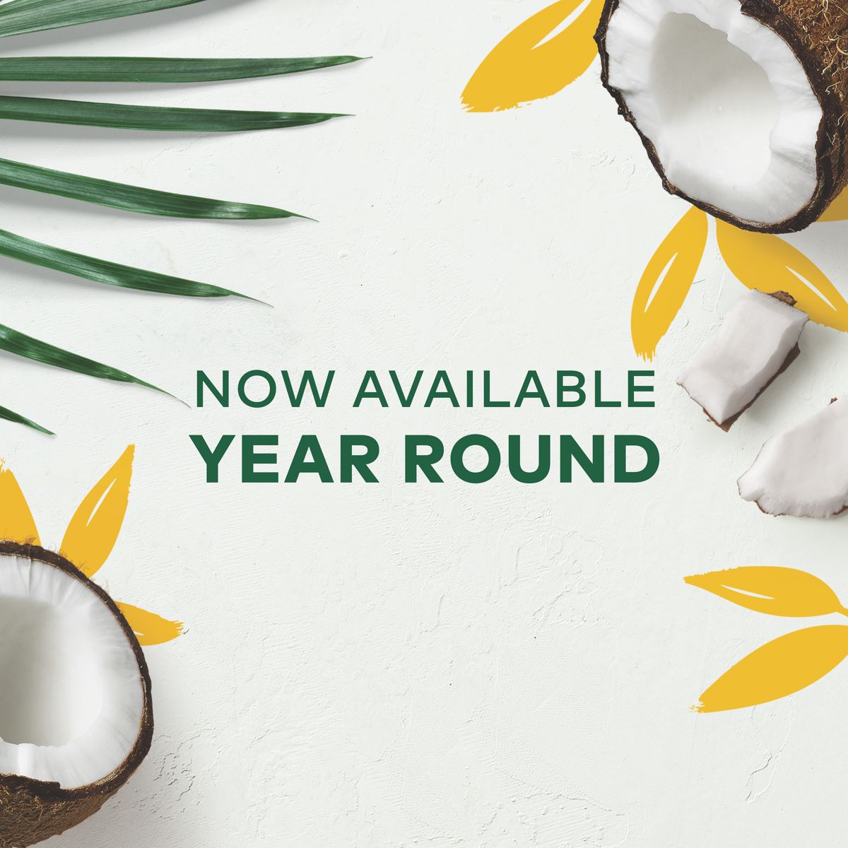 Green Mountain Coffee Roasters Island Coconut Coffee K-Cup Pods