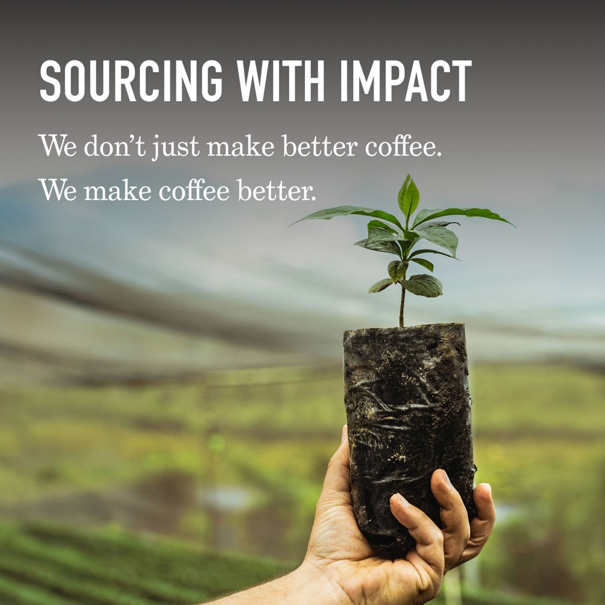 Peet's Coffee Major Dickason's Blend Coffee K-Cup Pods